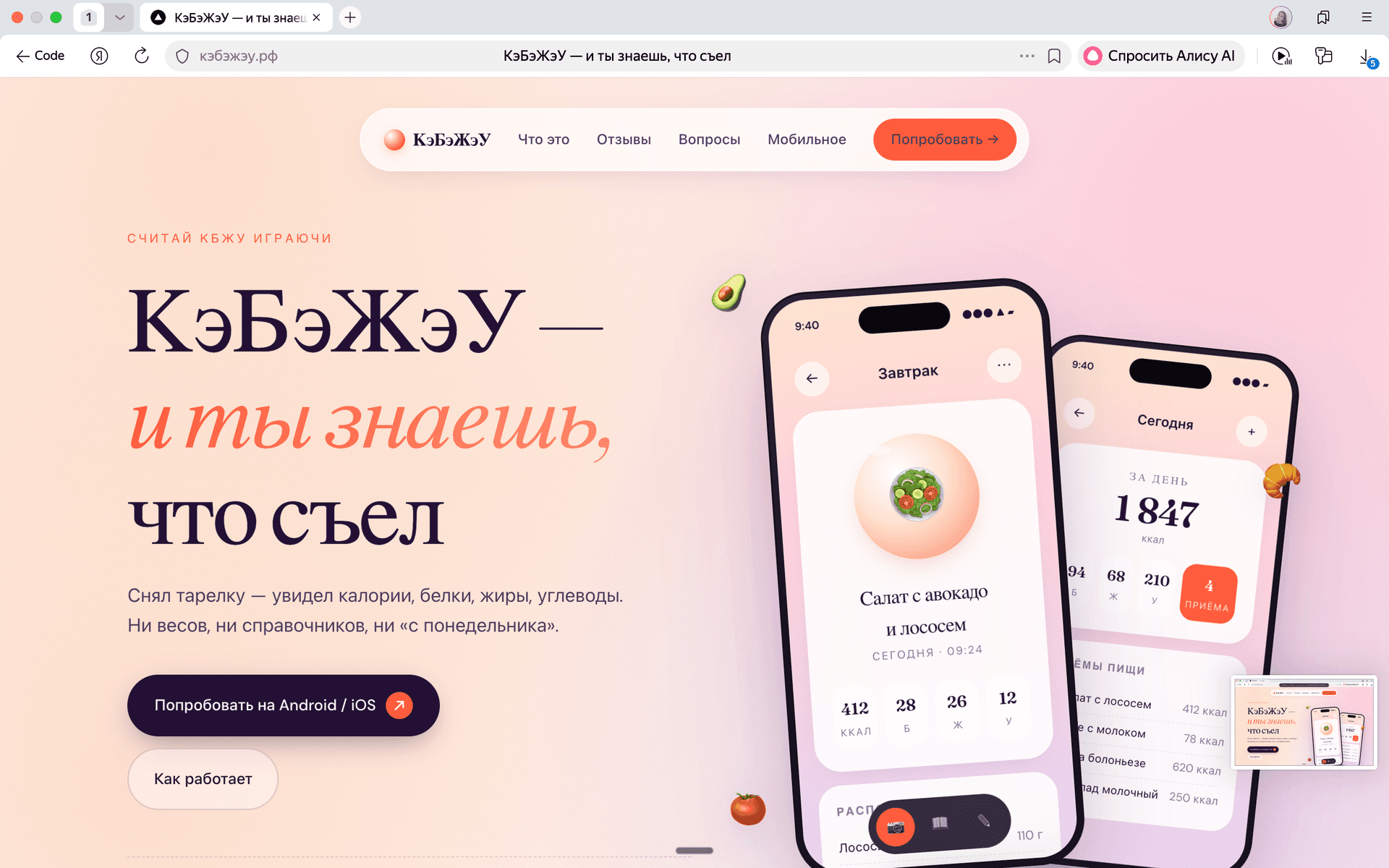 «КэБэЖэУ» — считай КБЖУ играючи — проект Илья Лапшов