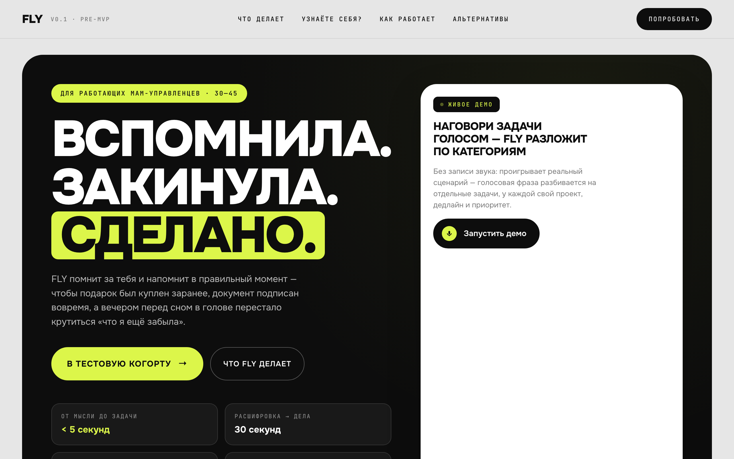 FLY — голосовой to-do для работающей мамы, кейс Юлии Каневой